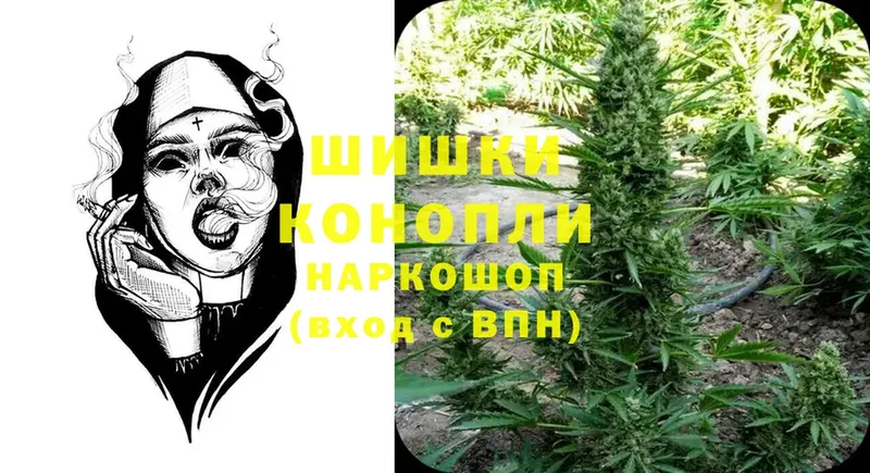 закладки  Сертолово  МЕГА вход  Бошки марихуана THC 21% 